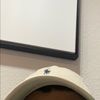 noah_marco